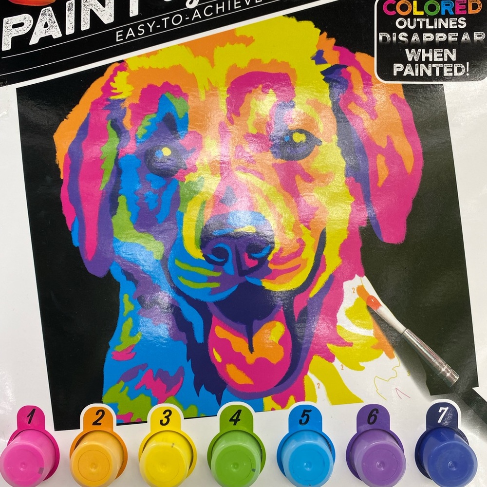 Acrylic Paint by Number